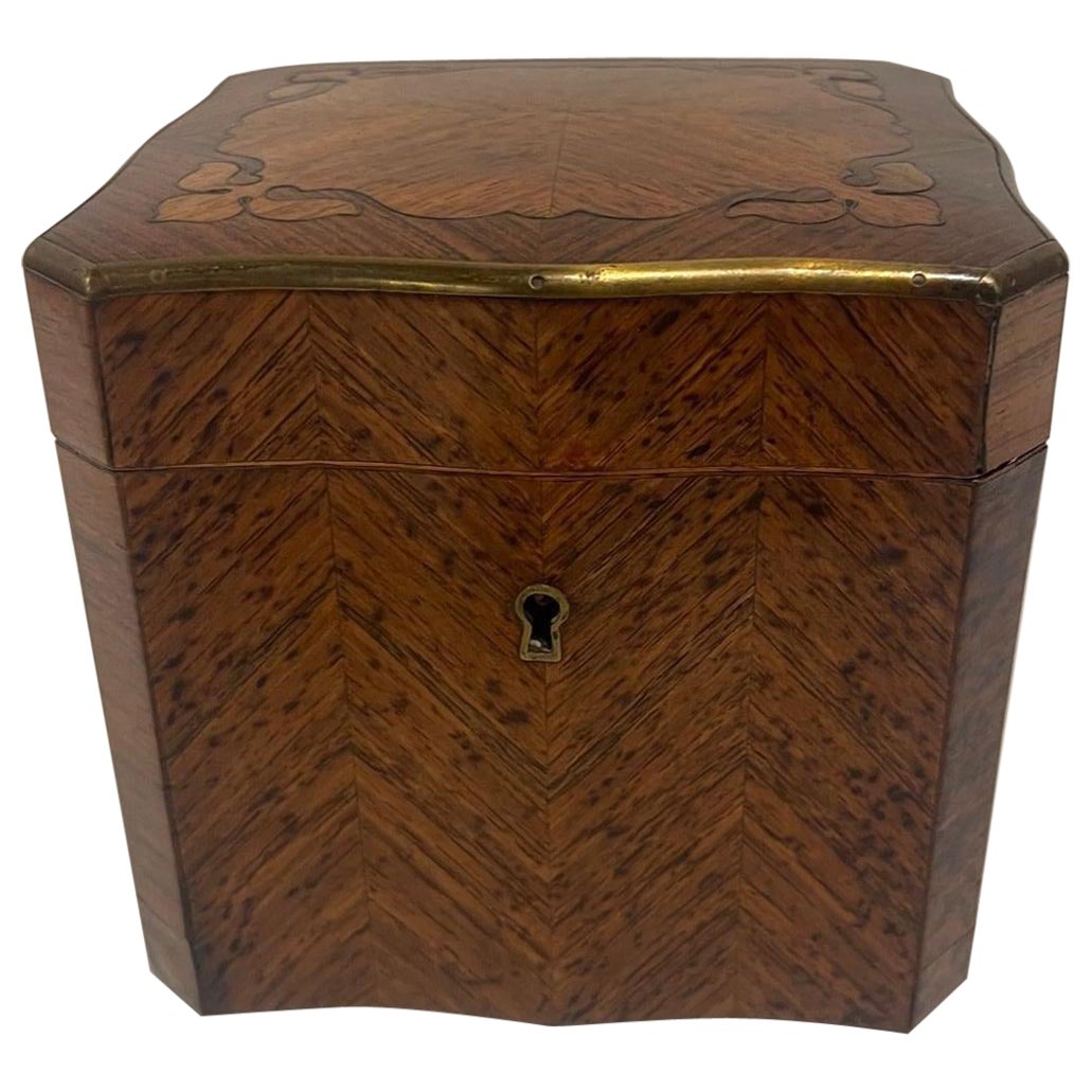 English Square Burl Tea Caddy Brass Stringing and Interior Lid, 19th Century