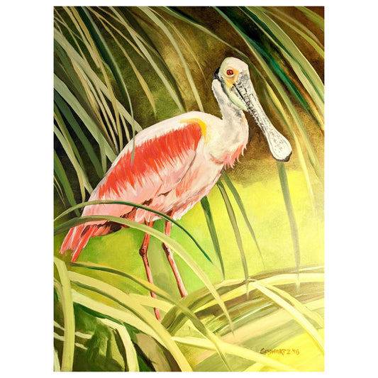 Framed Oil on Canvas "Spoonbill" by Susan Schwartz