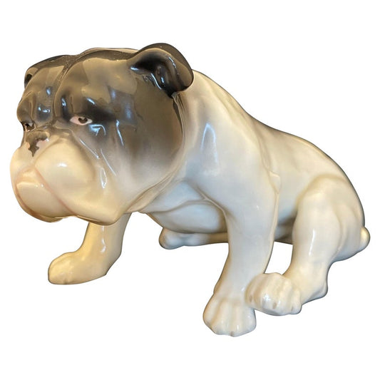 German Porcelain Figure of a Bulldog, Early 20th Century