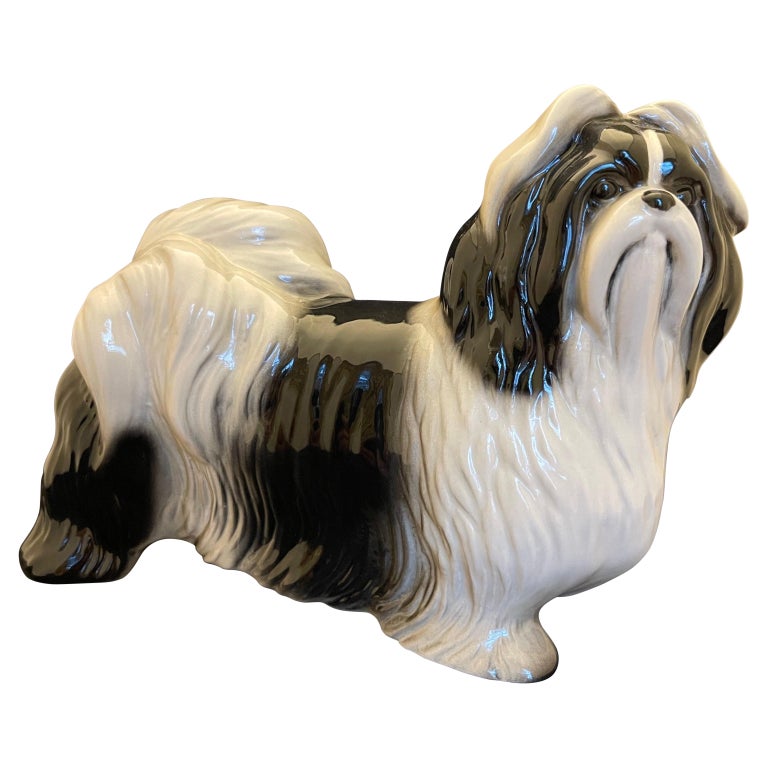 English Porcelain Figure of a Shih Tzu Dog, 20th Century