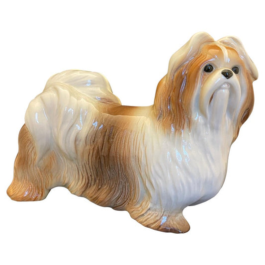 English Porcelain Figure of a Shih Tzu Dog, 20th Century