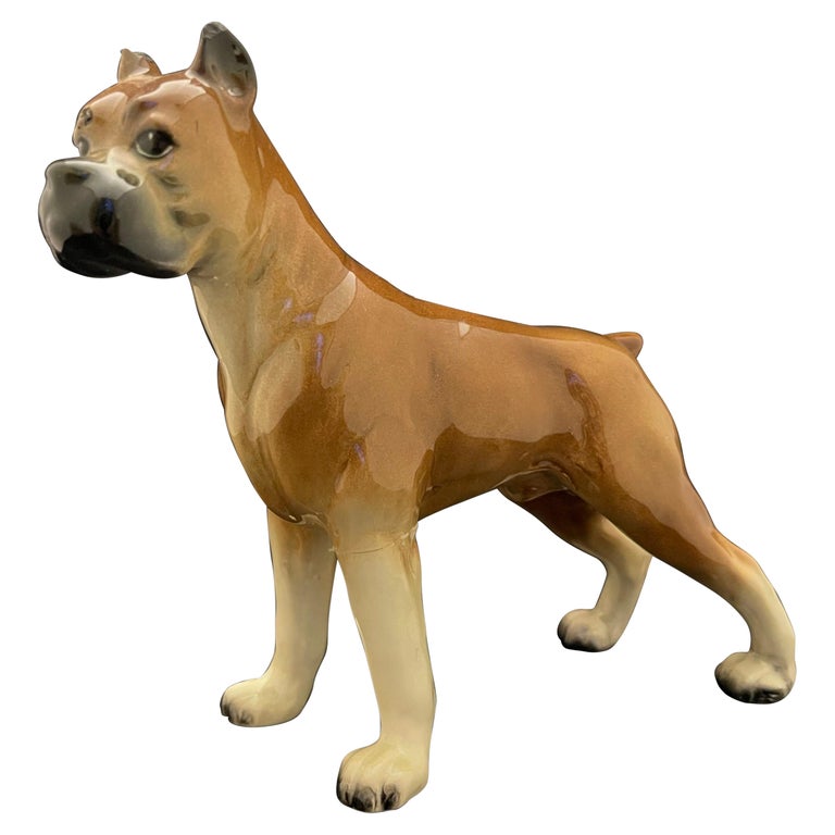 German Porcelain Figure of a Boxer Dog, Early 20th Century