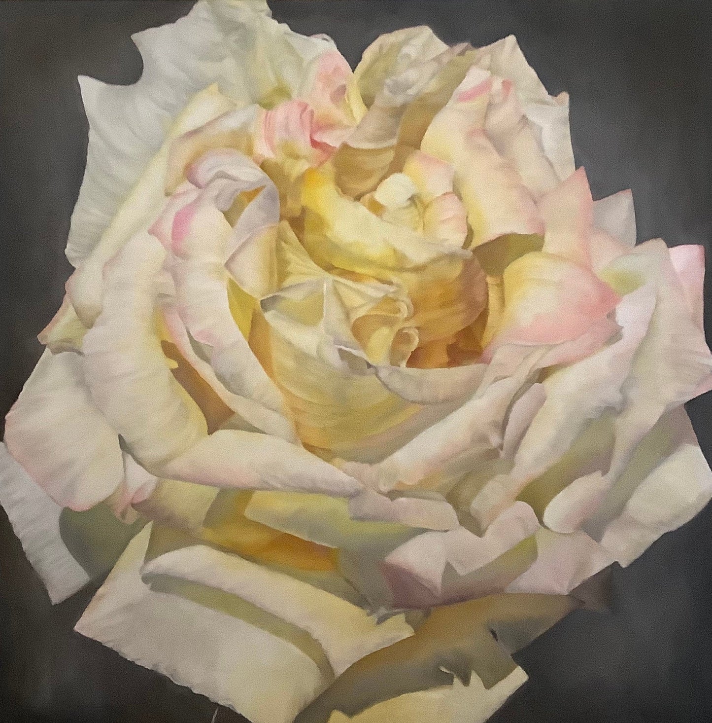 Framed Oil on Canvas "Blanca" - White Rose by Shelly Gurton