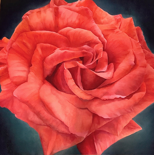 Framed Oil on Canvas "Corinna" - Salmon Color Rose by Shelly Gurton