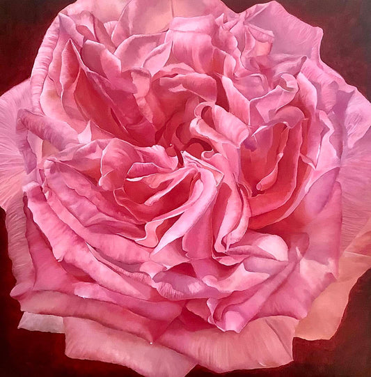 Framed Oil on Canvas "Vivienne" - Pink Color Rose by Shelly Gurton